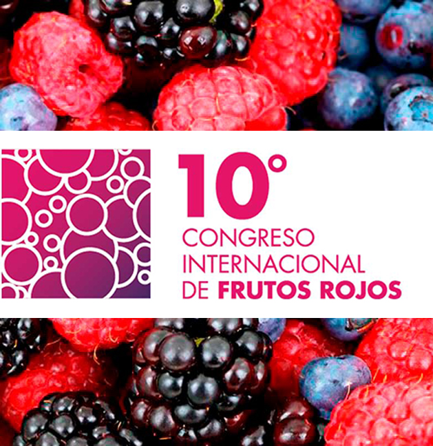 Dibal au 10e Congrès international des fruits rouges à Huelva