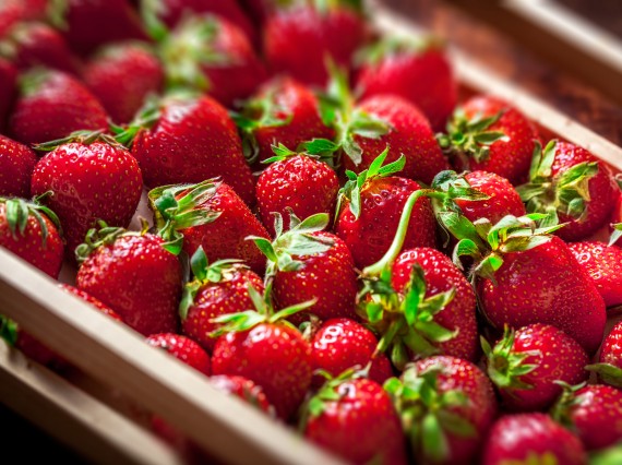 Solutions Dibal pour l&acute;industrie des fruits et légumes
