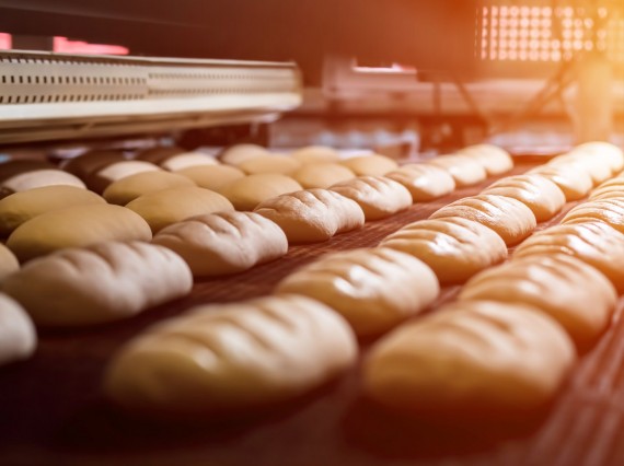 Solutions Dibal pour l&acute;industrie de la boulangerie
