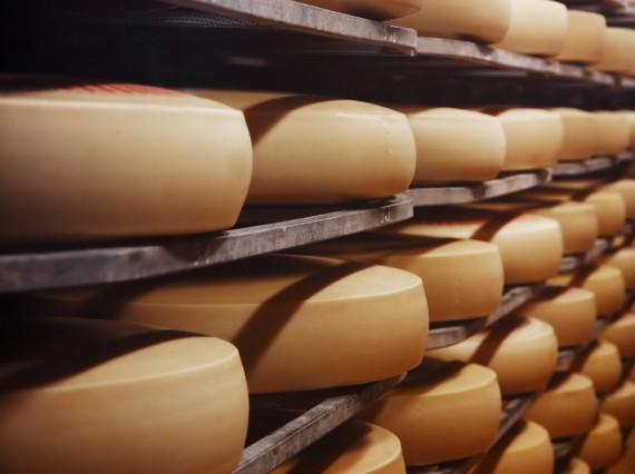 Solutions Dibal pour l&acute;industrie fromagère